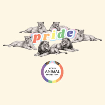 PRIDE: Lions Tote bag Design
