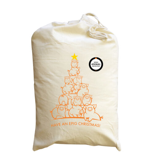 Medium Santa Sack: Have an Epig Christmas! Thumbnail