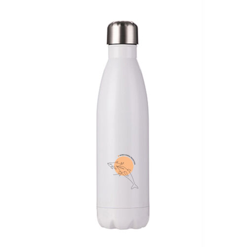 Dolphins Stainless Steel Bottle Thumbnail