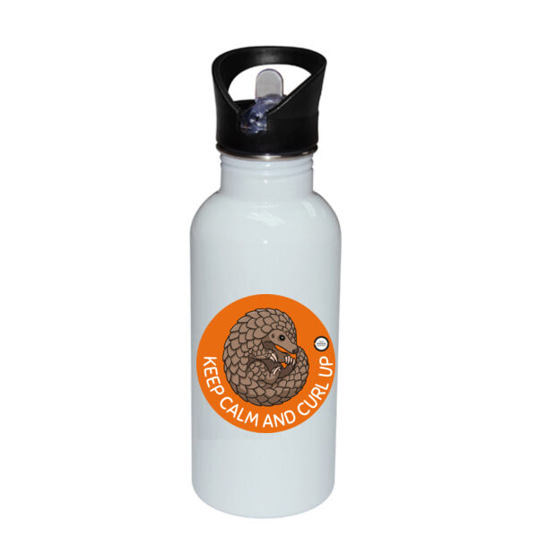 Keep Calm and Curl Up Stainless Bottle with Straw Top Thumbnail