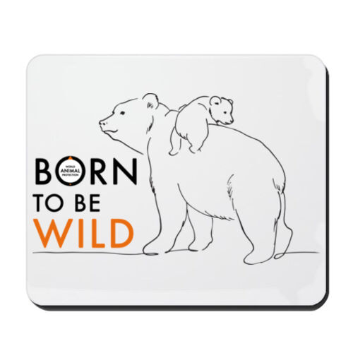 Mousepad: Bears - Born to be Wild Thumbnail
