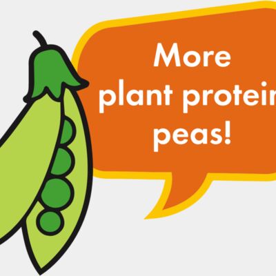 PPC magnets pea Thumbnail