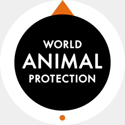 World Animal Protection Reversed for Black Background logo Thumbnail